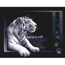 Набор для вышивания "PANNA" J-0277 (Ж-0277) "Белый тигр"